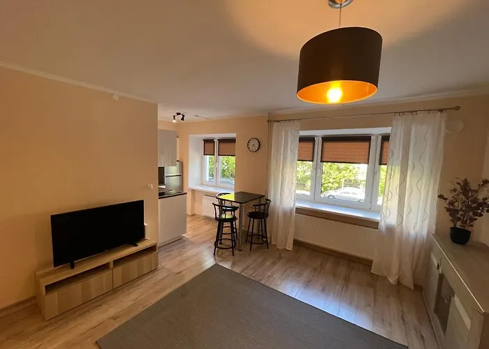 公寓 Lovely And Cozy In 塔尔图