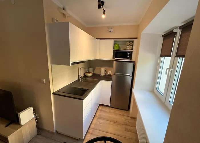 公寓 Lovely And Cozy In 塔尔图