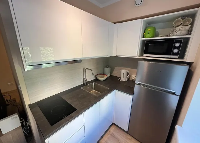 公寓 Lovely And Cozy In 塔尔图